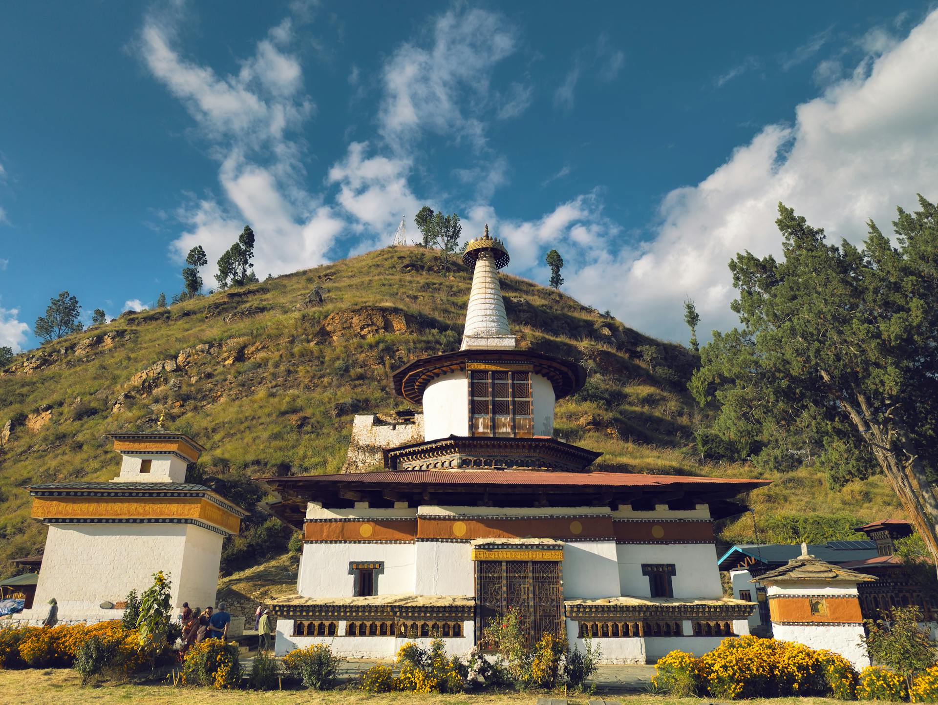 Bhutan: Policies and Initiatives for a Carbon Neutral Economy