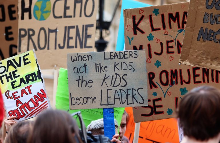 South Asia and the Net Zero Target